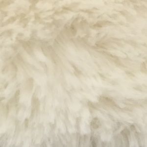 Meet your Posher, Abigail